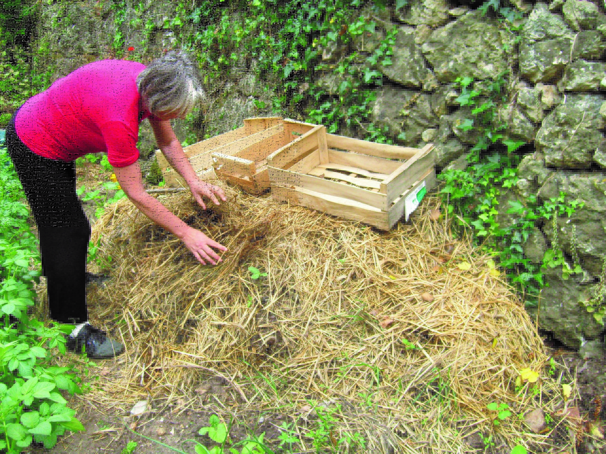 Jardin écologique : composteur, faire son compost et réduire ses déchets -  Blog maison écologique : le green blog